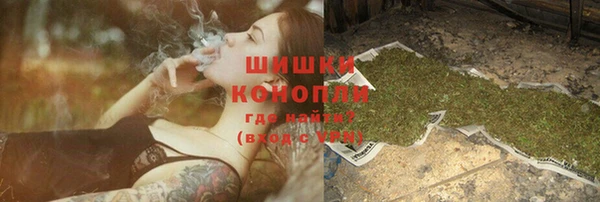 мдпв Богданович