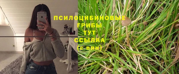 марихуана Богородицк