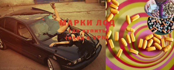 индика Белокуриха