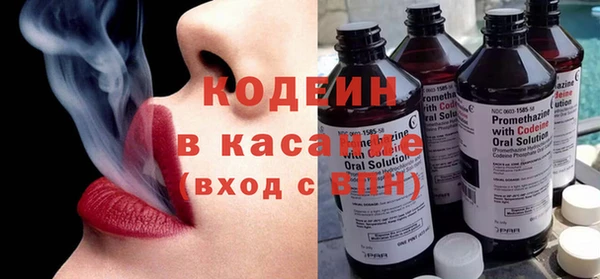 индика Белокуриха