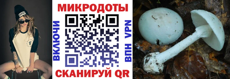 даркнет телеграм  Бирск  Галлюциногенные грибы мухоморы 